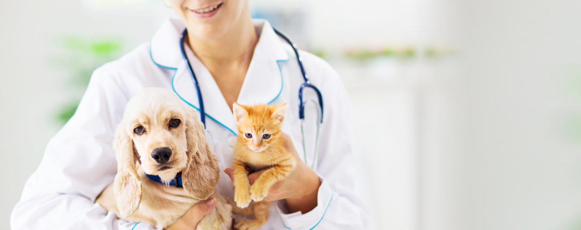 中興梅西動物醫療中心