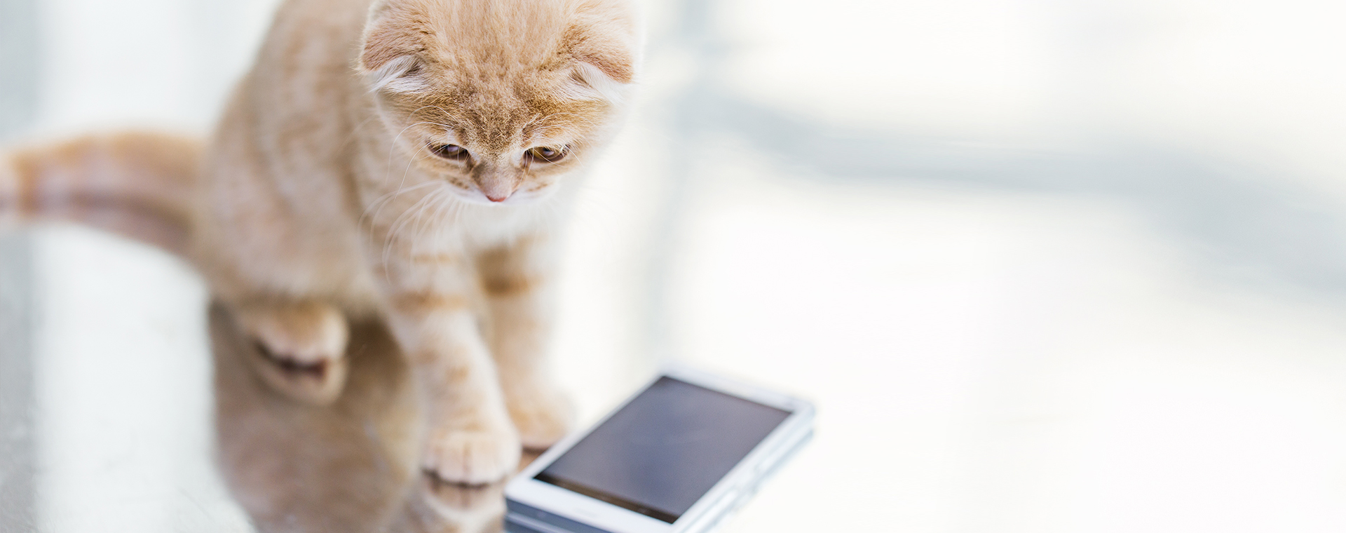 中興梅西動物醫療中心