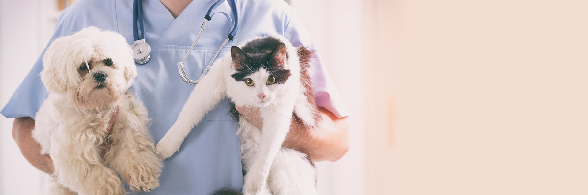 中興梅西動物醫療中心