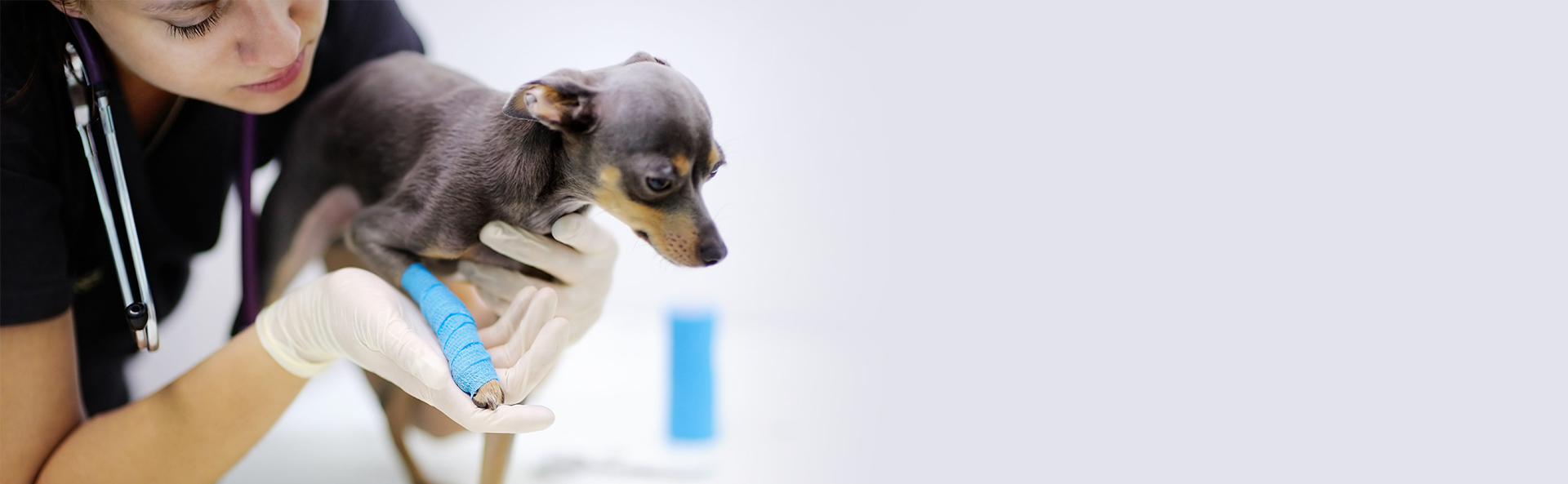 中興梅西動物醫療中心