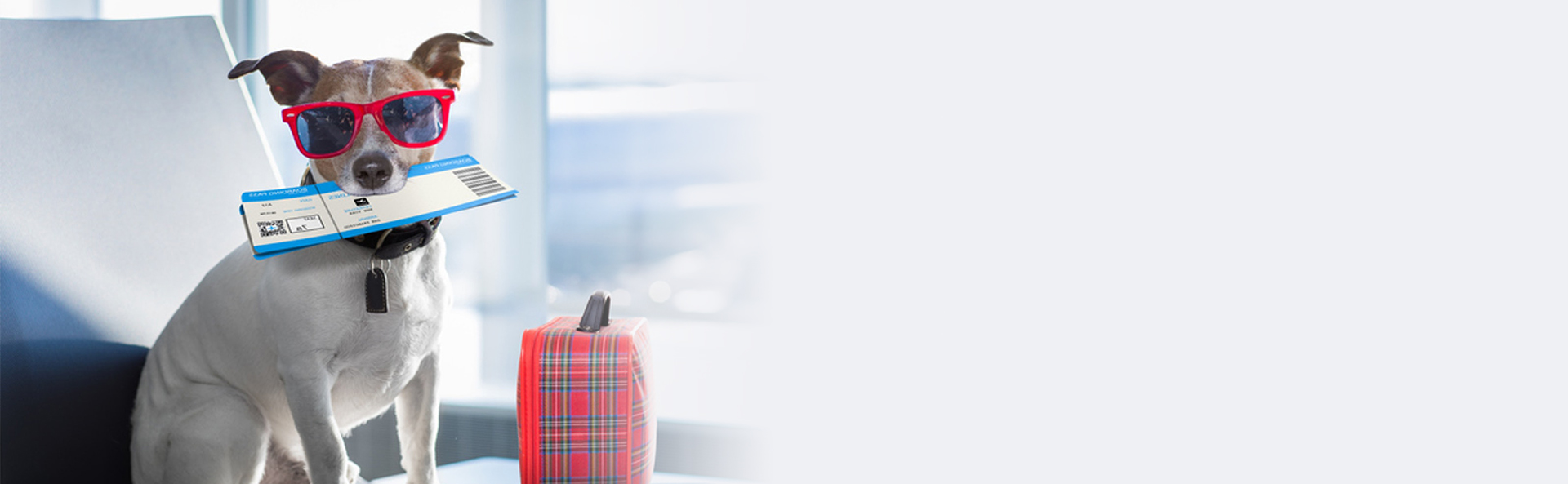 中興梅西動物醫療中心