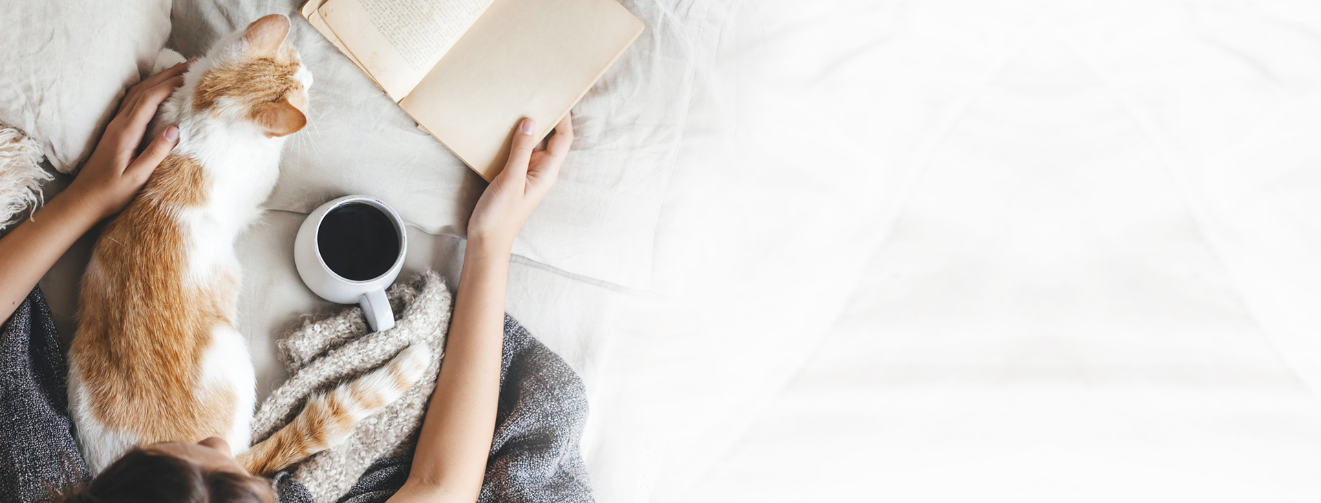 中興梅西動物醫療中心